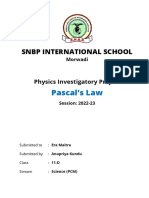 SNBP Internationl School-1