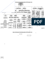 ORGANOGRAM