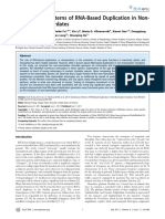 Evolutionary Patterns of RNA-Based Duplication in Non-Mammalian Chordates