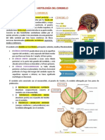 Resumen de Histologia Del Cerebelo