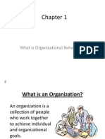 What Is Organizational Behaviour?