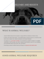 Animal Welfare