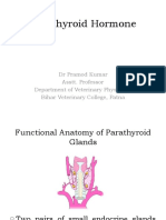 Parathyroid Hormone: DR Pramod Kumar Asstt. Professor Department of Veterinary Physiology Bihar Veterinary College, Patna