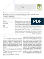 Solignat Et Al. - 2009 - Replication Cycle of Chikungunya A Re-Emerging Arbovirus