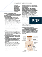 Endocrine System