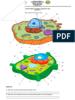 Activity Sheet in Animal and Plant Cell