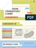 Electron Transport Chain