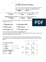 Updated Punnett Square Practice Worksheet (Edited)