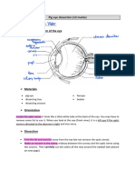 Pig Eye Dissection 3IEN2