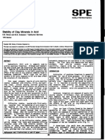 Stability of Clay Minerals in Acid