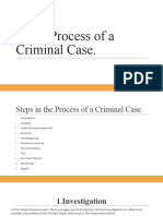 Court Process of A Criminal Case