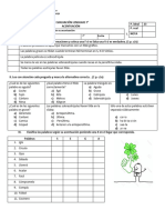 Evaluación Acentuación