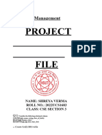 Project File