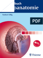 (Thie.) Ulfig, Kurzlehrbuch Neuroanatomie (2008)