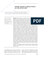 Swelling-Activated Chloride Channels in Aqueous Humour Secretion, On The One Side and The Other