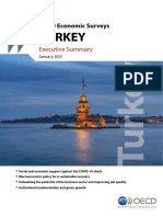 OECD - Turkey - Economic Survey Executive Summary