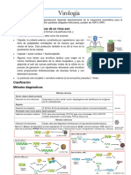 RESUMEN Egel Virologia