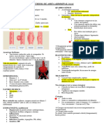 Aneurisma de Aorta Abdominal