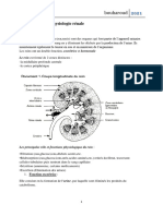 Chapitre4 Physiologie Animale