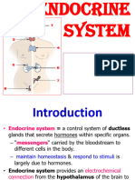 Endocrine Physiology