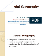 Scrotal Sonography Us אשכים