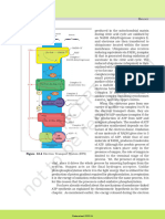 Respiration in Plants-8