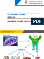 00010641397ia01s1109931010 Clasebiologia2023 Ii