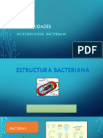 Generalidades de Las Bacterias