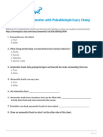 Ammonite Worksheet