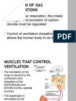 Homeostasis of Gas Concentrations