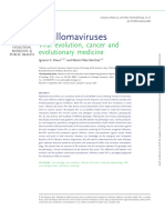 Papillomaviruses - Viral Evolution, Cancer and Evolutionary Medicine