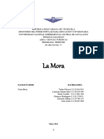 La Mora - 2