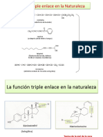 Presentacion de Alquinos