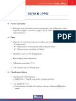 03 - Resumo - Ext 2023 - Gota e CPPD