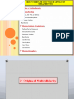 Lecture 6 MulticellularOrganization