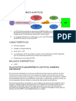 Sistemas Energéticos-Faf-Educacion Fisica-Resumen