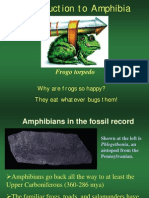 Amphibian Evolution