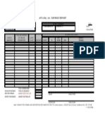 Area Team Expense Report