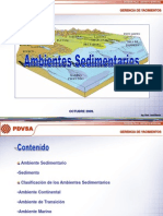 Ambientes Sedimentarios