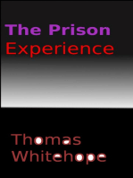 The Prison Experience