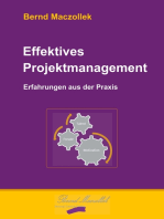 Effektives Projektmanagement: Erfahrungen aus der Praxis