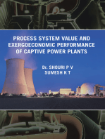 Process System Value and Exergoeconomic Performance of Captive Power Plants