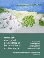 Oxtankah: una ciudad prehispánica en las tierras bajas del área maya: Volumen III. Investigación arqueológica en Oxtankah y área circundante