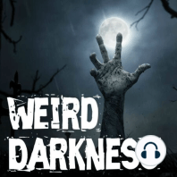 “THE BLACK MONK OF 30 EAST DRIVE” and More True Paranormal Stories! #WeirdDarkness