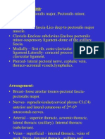 Upper Limb - Pectoral Region, Scapular Region, Axilla & Brachial Plexus