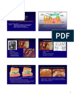 1 FP2 FPD Lecture 2011pdf