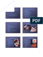 Neoplastic Disorders of The Conjunctiva Tumors of Epithelial Origin