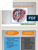 Seminario de Trauma Ureteral