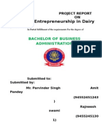 Enteprenureship in Dairy Product