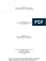 Ensayo de Economia Ambiental